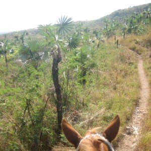 Viñales Horse Riding